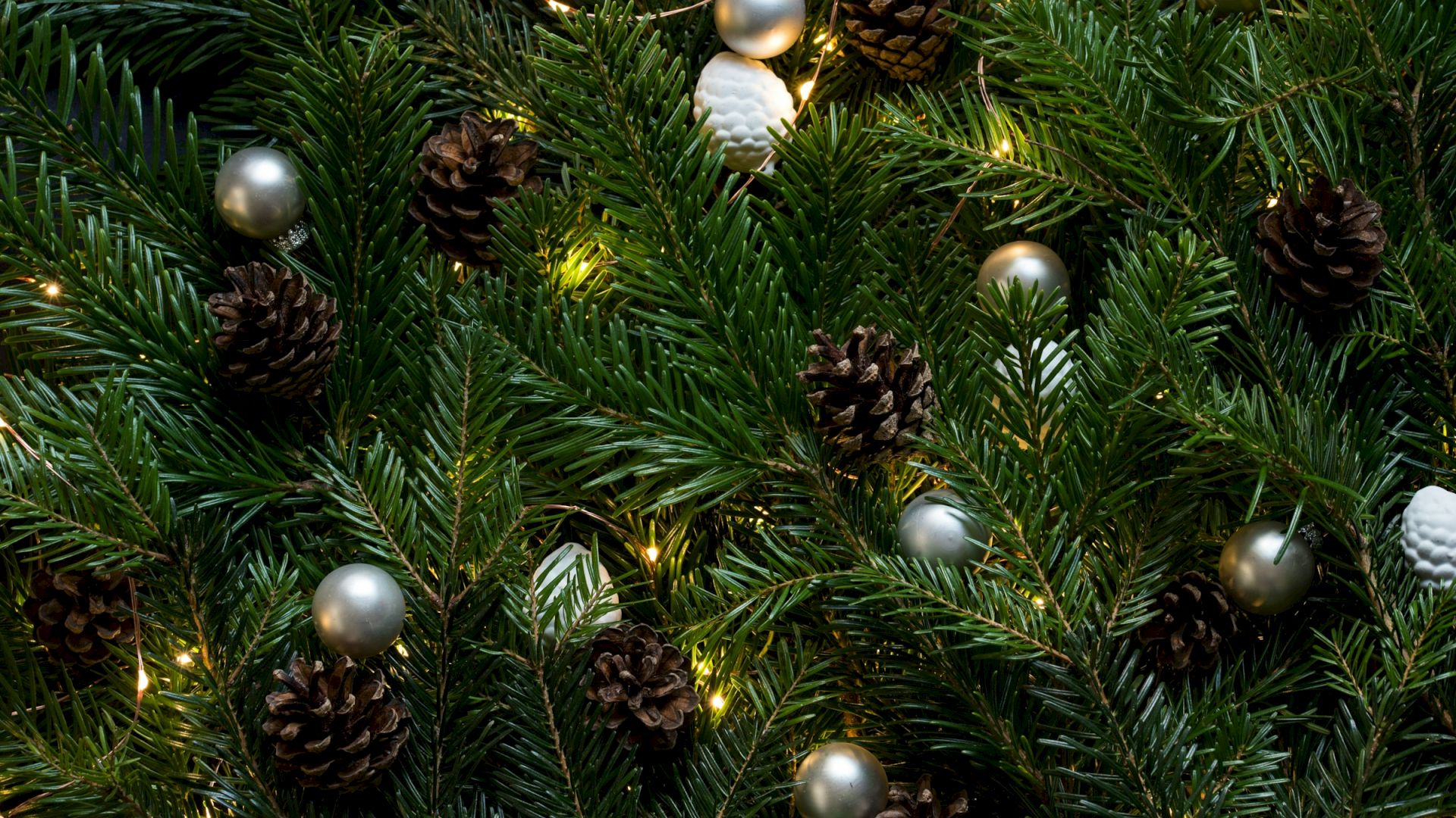 A close-up of a Christmas tree with green pine branches, pine cones, metallic ornaments, and small string lights decorating it.